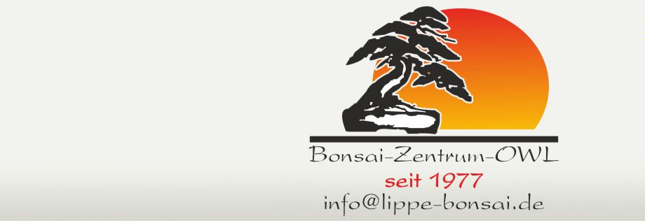 Bonsai-Zentrum-Lippe